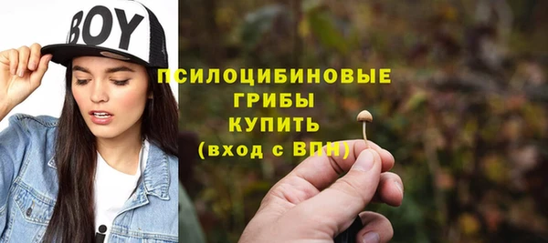 PSILOCYBIN Краснотурьинск