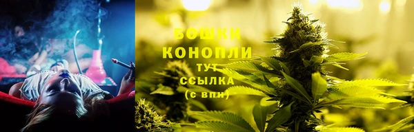 PSILOCYBIN Краснотурьинск