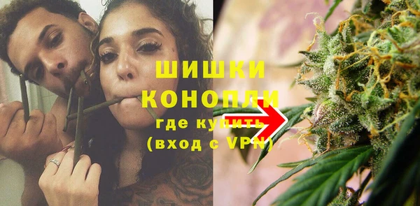 прущие грибы Костерёво