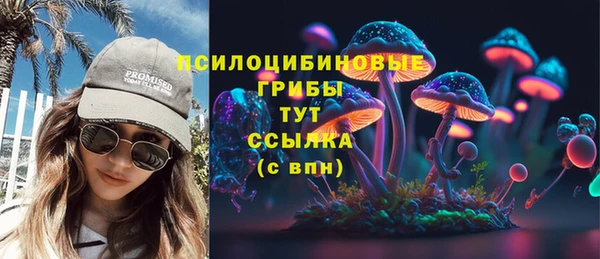 PSILOCYBIN Краснотурьинск