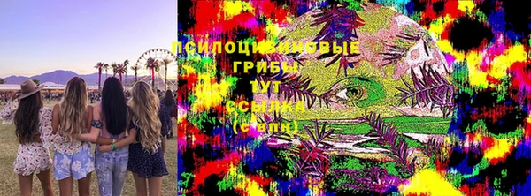 PSILOCYBIN Краснотурьинск