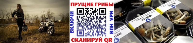 Псилоцибиновые грибы ЛСД  где найти наркотики  Кумертау 